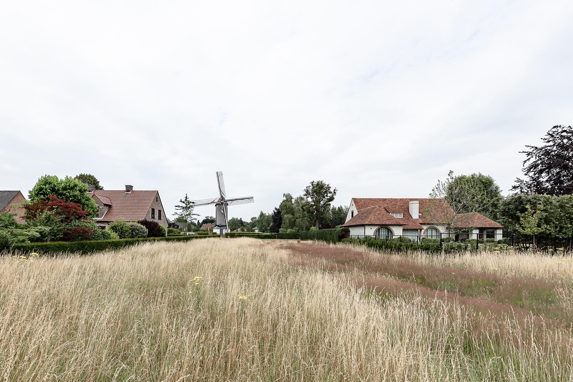 foto Op reis met Vlaamse meesters