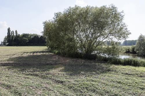 foto Op reis met Vlaamse meesters