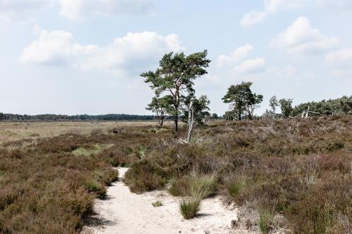 foto Op reis met Vlaamse meesters